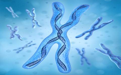 染色体异常有哪些类型？