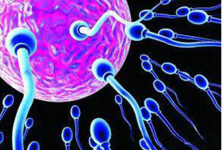 福州试管婴儿男性精子的体外受精技术
