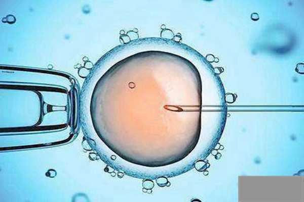 福州双胞胎助孕成功率-人工授精和人工受精在费用上有区别吗？