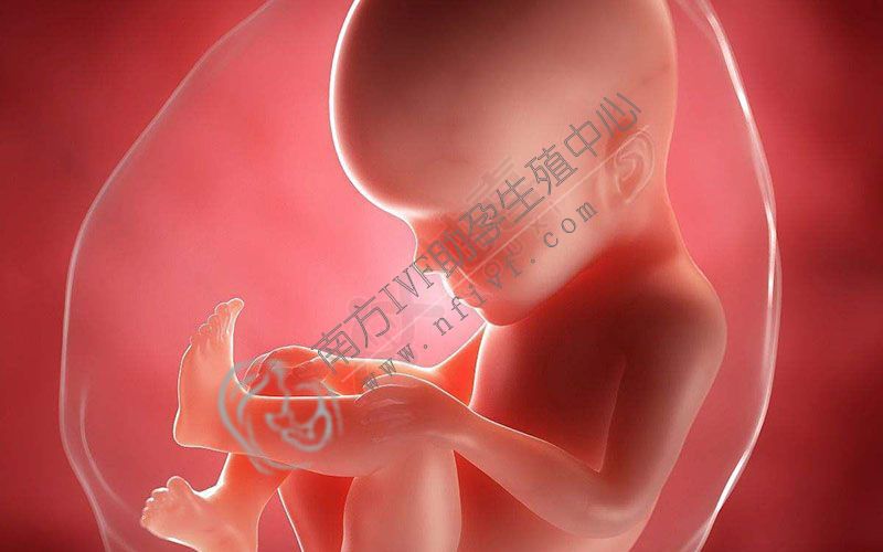 福州龙凤胎试管婴儿套餐-怀孕期间不应该做的5件事!避免增加胎儿畸形的风险。