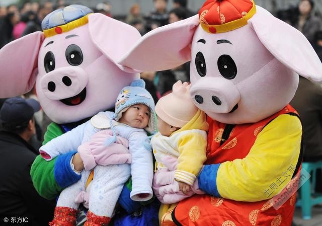 2021年出生的猪宝宝在哪个月最有福气？2021年，猪宝宝的五行是什么？2021年猪宝宝出生的最佳月份是什么时候？