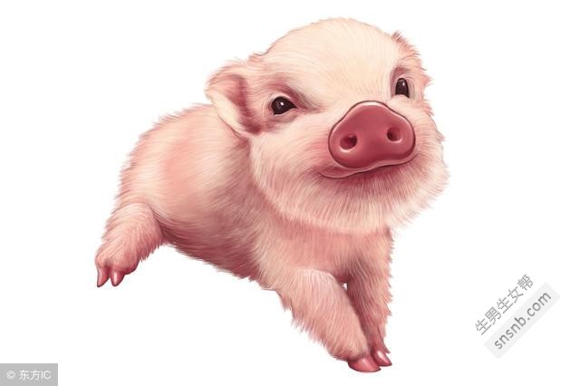 2021年出生的猪宝宝在哪个月最有福气？2021年，猪宝宝的五行是什么？2021年猪宝宝出生的最佳月份是什么时候？