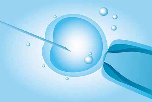 常州借卵试管：试管婴儿期间可以喝蛋白粉来加速卵泡成熟吗？试管婴儿中常用的排卵方案是什么？